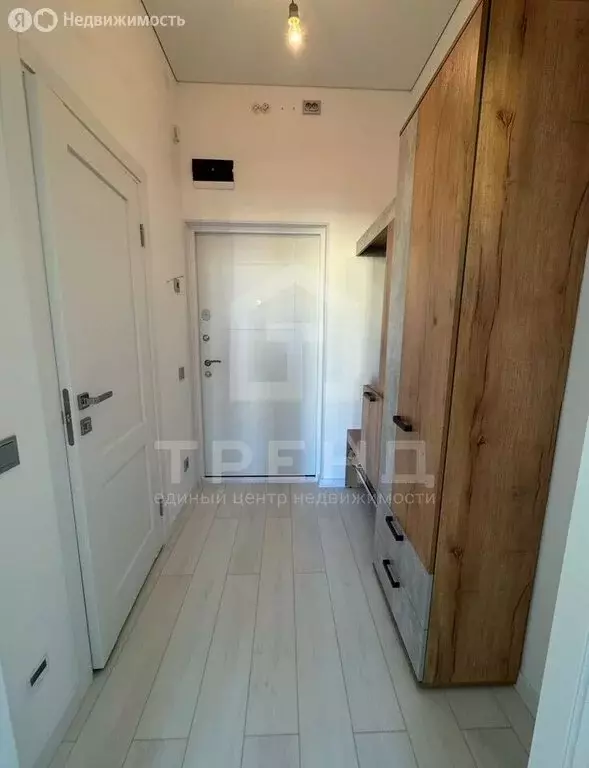 Квартира-студия: посёлок Стрельна, проспект Будённого, 20к5 (24.6 м) - Фото 2