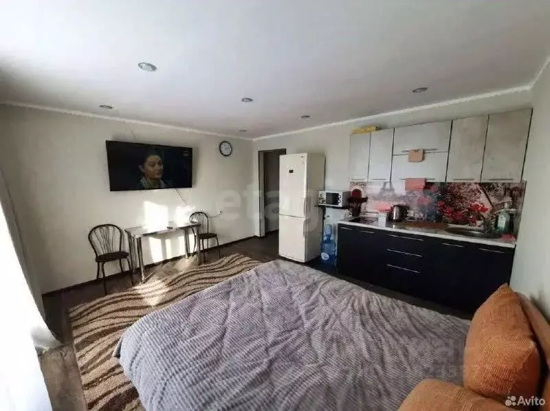 Студия Амурская область, Свободный Парниковая ул., 20 (23.8 м) - Фото 1