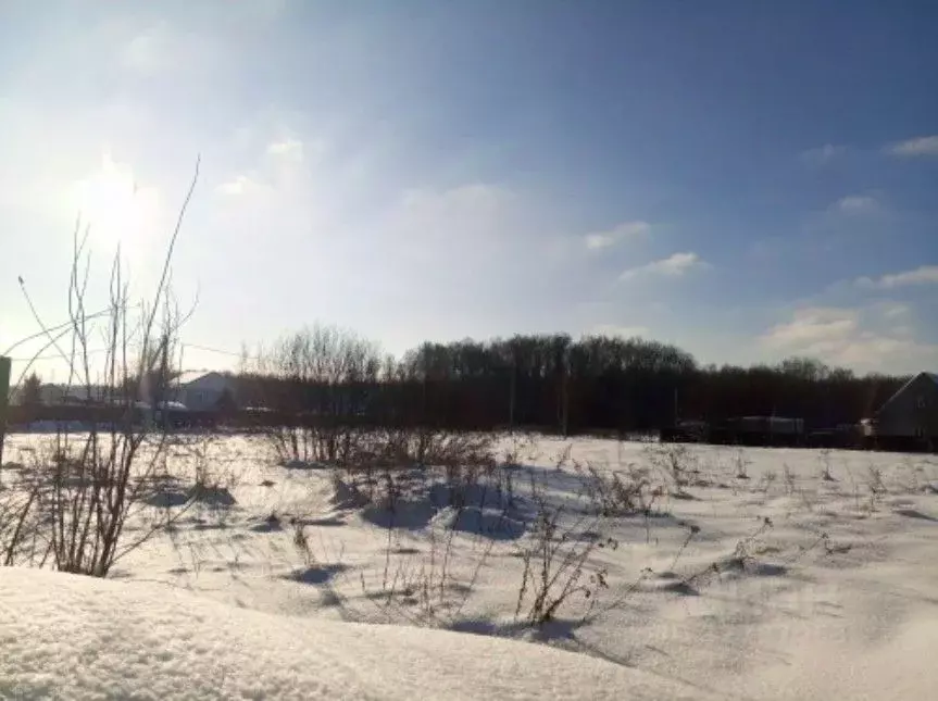 Участок в Московская область, Чехов муниципальный округ, д. Сенино  ... - Фото 1