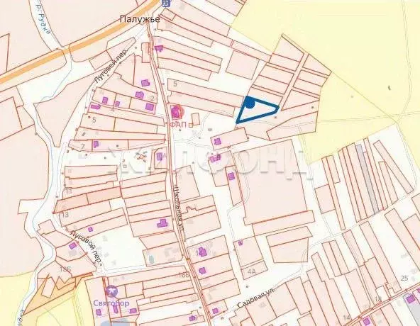 Участок в Брянская область, Выгоничский район, Кокинское с/пос, с. ... - Фото 1