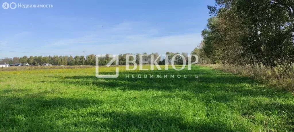 Участок в Ярославский муниципальный округ, деревня Пестрецово (13 м) - Фото 0