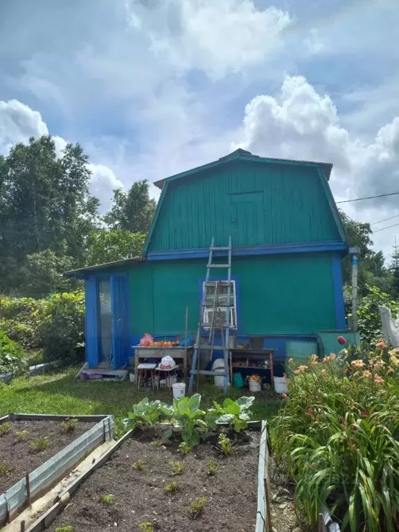 Дом в Хабаровский край, Хабаровский район, с. Черная Речка, Авангард ... - Фото 2