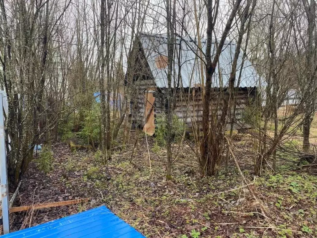 Участок в Коми, Сыктывдинский район, Лэзым муниципальное образование, ... - Фото 2