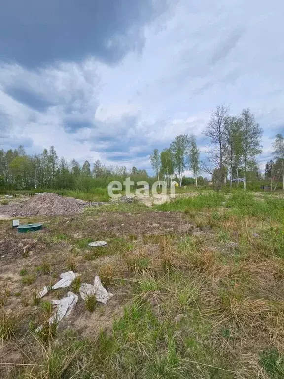 Участок в Ленинградская область, Всеволожский район, Сертоловское ... - Фото 0