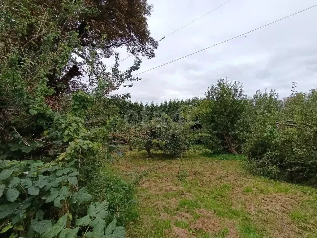 Участок в Калининградская область, Гурьевский муниципальный округ, ... - Фото 1