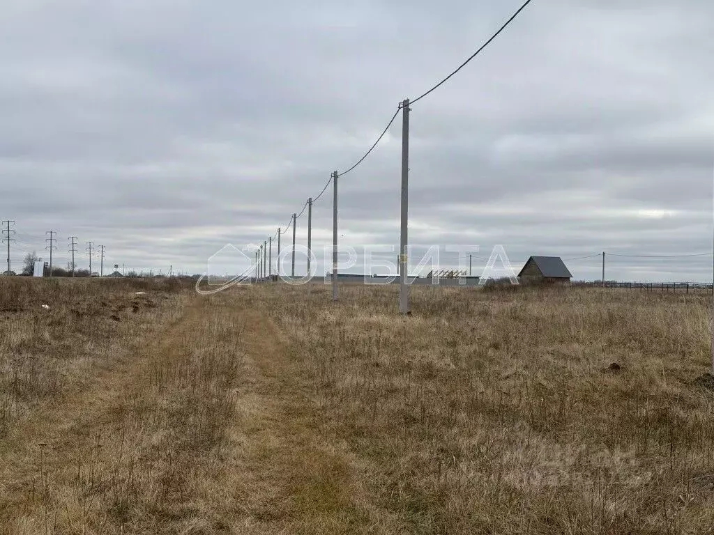 Участок в Тюменская область, Тюменский муниципальный округ, с. Чикча ... - Фото 2