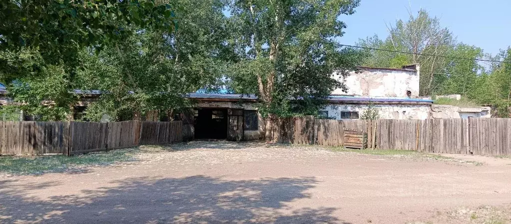 Помещение свободного назначения в Забайкальский край, Забайкальский ... - Фото 1