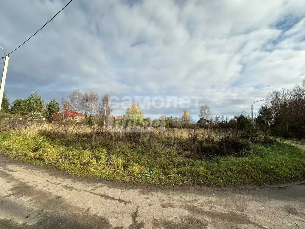 Участок в Московская область, Наро-Фоминский городской округ, д. ... - Фото 2