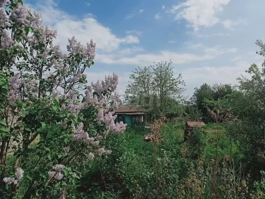 Участок в Кировская область, Юрьянский район, Загарское с/пос, ... - Фото 2