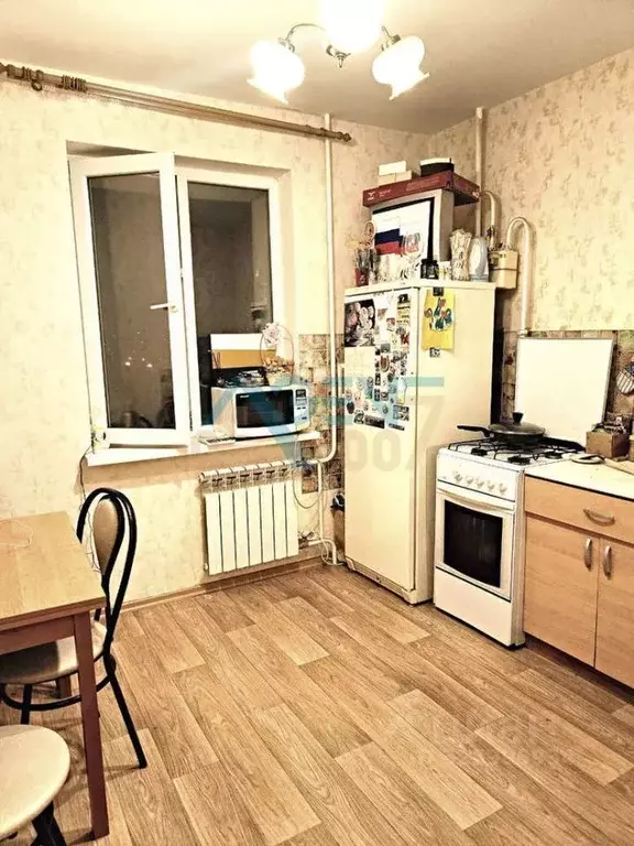 1-к кв. Белгородская область, Белгородский район, Дубовское с/пос, ... - Фото 1