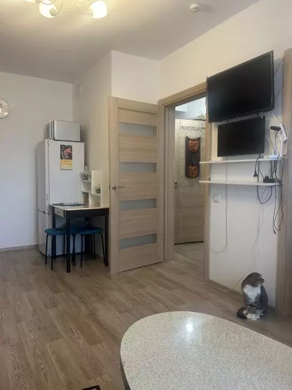1-к кв. Санкт-Петербург ул. Пейзажная, 4к1 (33.3 м) - Фото 1