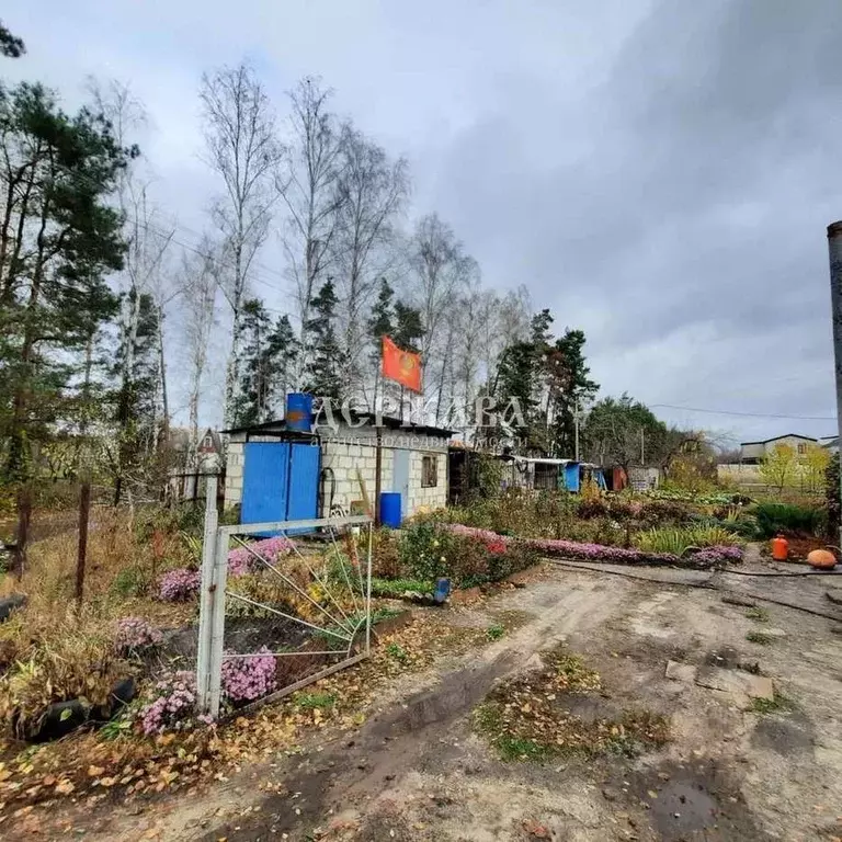 Дом в Белгородская область, Старооскольский городской округ, с. ... - Фото 0