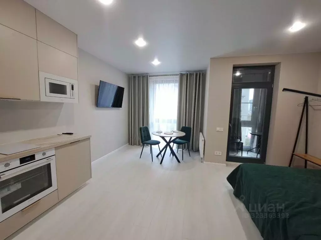 Студия Санкт-Петербург просп. Энгельса, 29 (28.6 м) - Фото 2