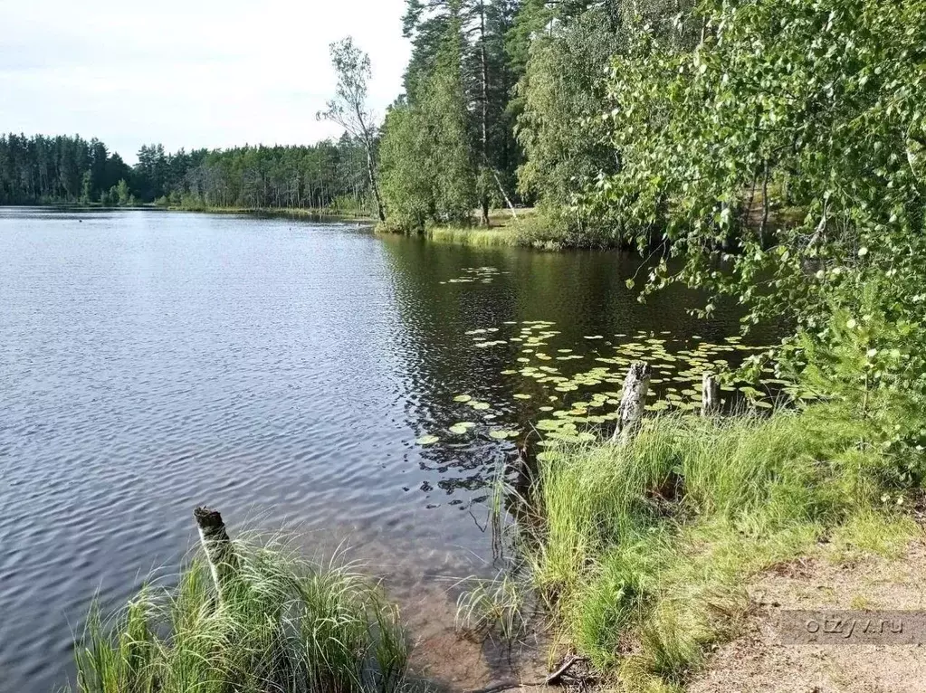 Участок в Ленинградская область, Кировский район, Мгинское городское ... - Фото 2