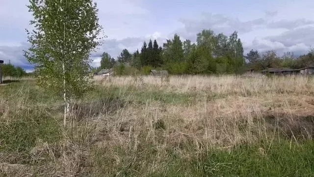 Участок 10,8 сот. (личное подсобное хозяйство (лпх)) - Фото 1