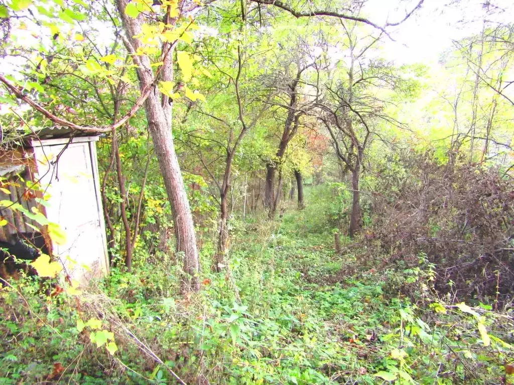 Участок в Ставропольский край, Кисловодск За Рулем садовые участки, ... - Фото 1