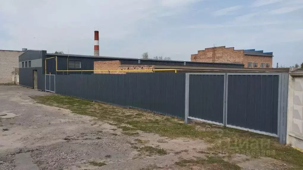 Помещение свободного назначения в Псковская область, Великие Луки ... - Фото 1