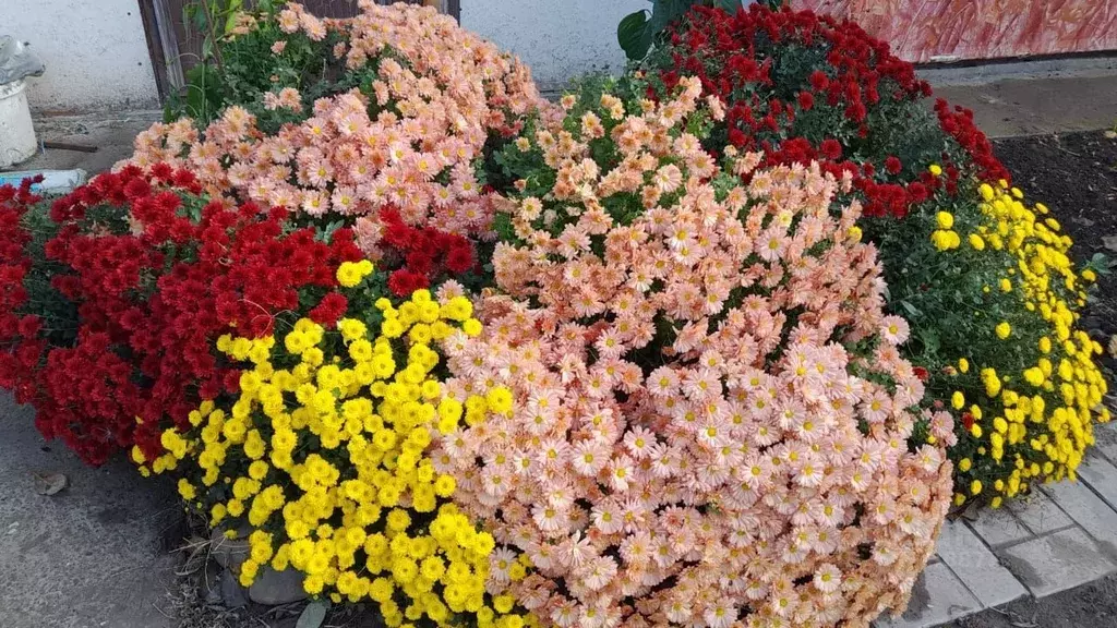 Дом в Астраханская область, Астрахань  (85 м) - Фото 1