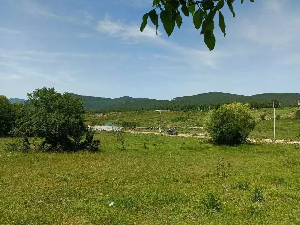 Участок в Севастополь с. Передовое, ул. Новая, 3 (9.0 сот.) - Фото 0