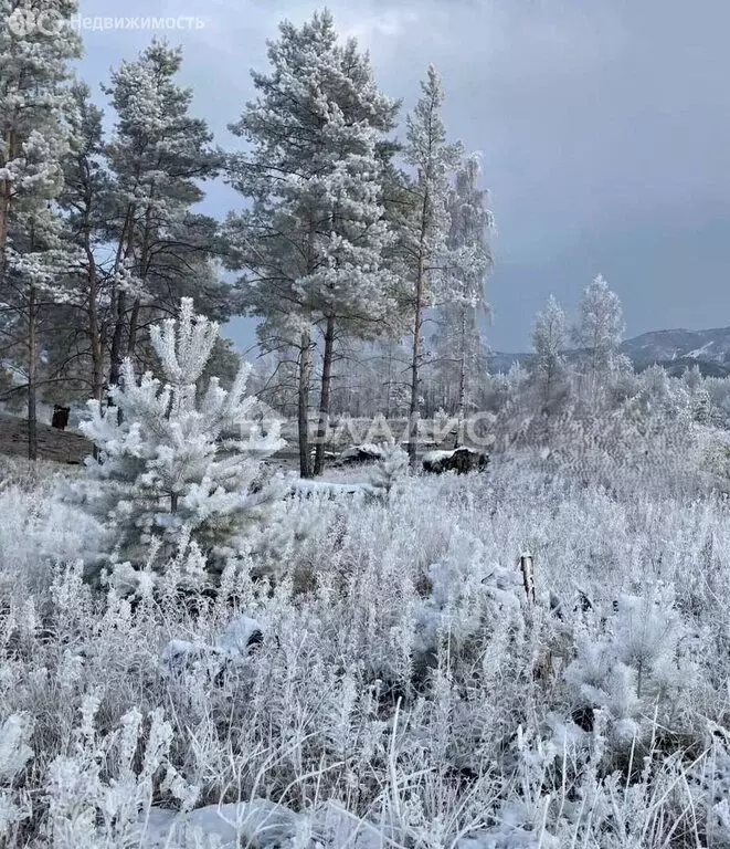 Участок в Улан-Удэ, ДНТ Октябрьское, Петербужская улица, 135 (6 м) - Фото 1