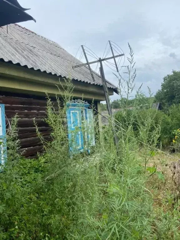 Участок в Приморский край, Шкотовский муниципальный округ, с. ... - Фото 1