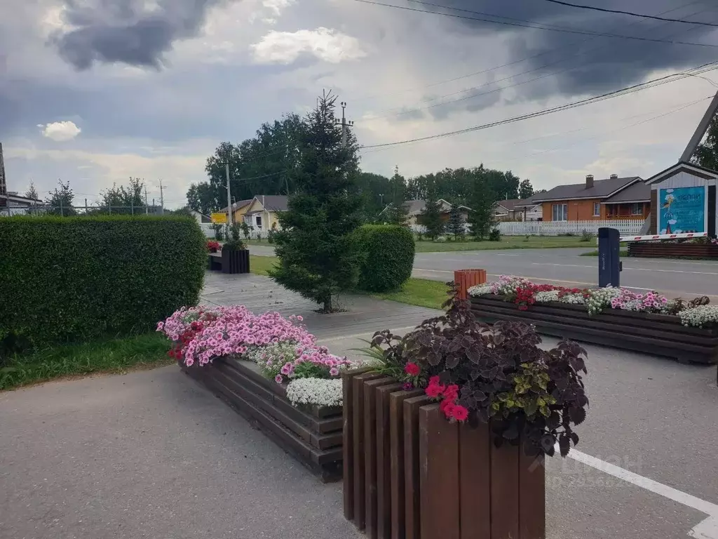 Участок в Омская область, Омский район муниципальный округ, с. ... - Фото 2