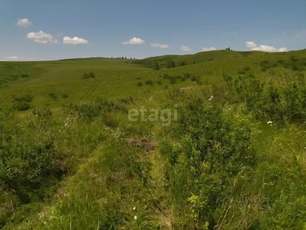 Участок в Алтайский край, Усть-Калманский район, с. Слюдянка ... - Фото 0