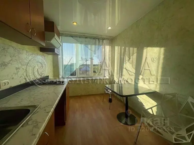 2-к кв. Ленинградская область, Волосовский район, Клопицкое с/пос, д. ... - Фото 2