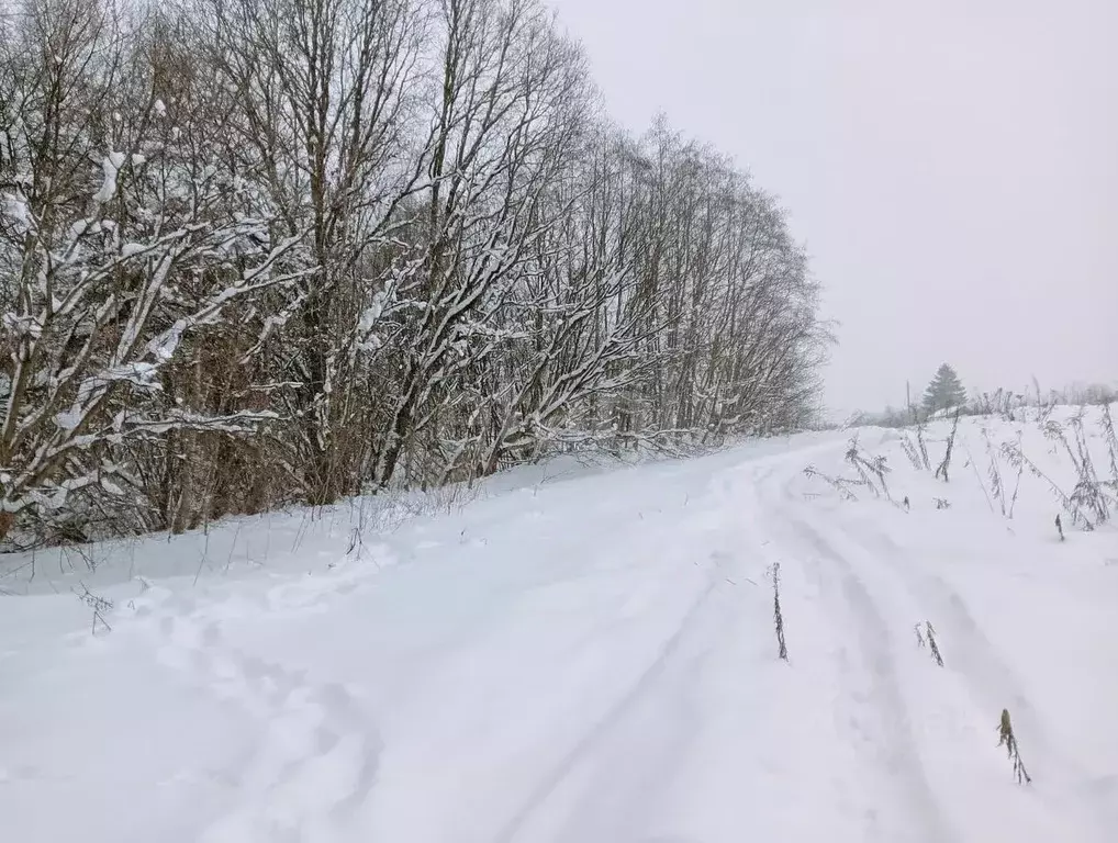 Участок в Смоленская область, Смоленский муниципальный округ, д. ... - Фото 1
