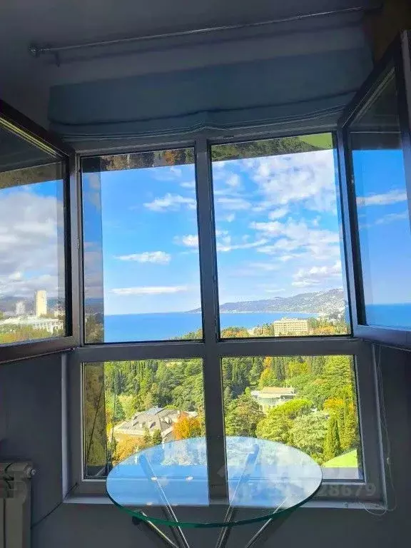 1-к кв. Краснодарский край, Сочи Виноградная ул., 4 (20.0 м) - Фото 1