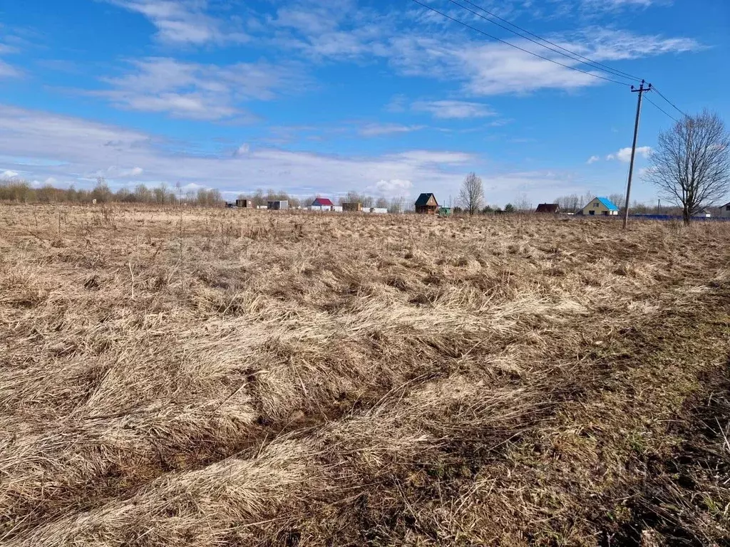 Участок в Новгородская область, Новгородский район, Трубичинское ... - Фото 1