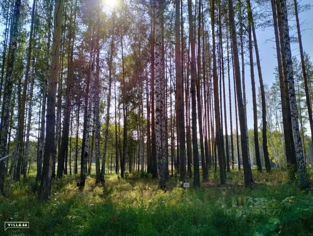 Участок в Свердловская область, Сысертский городской округ, пос. ... - Фото 0