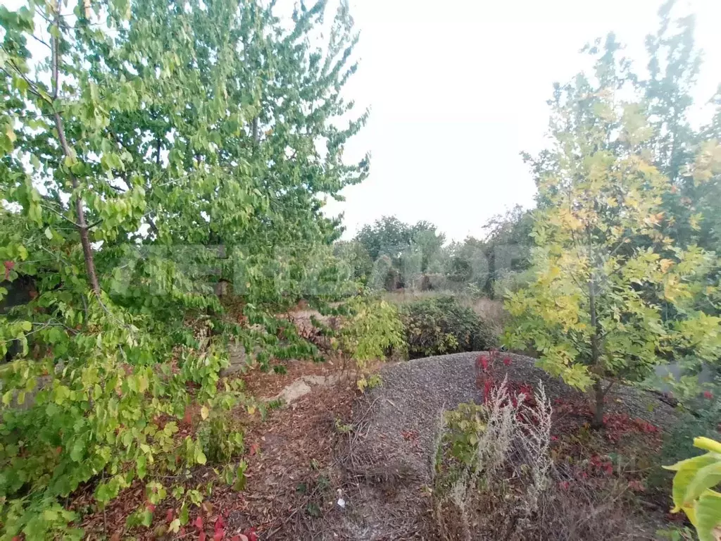 Участок в Ростовская область, Октябрьский район, пос. Персиановский, ... - Фото 1