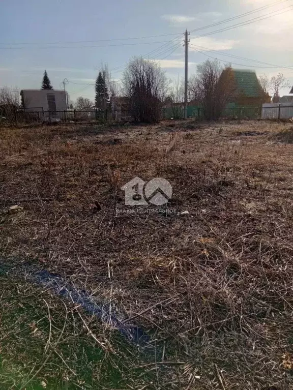 Участок в Новосибирская область, Коченевский район, Дорожник СТ 119 ... - Фото 1