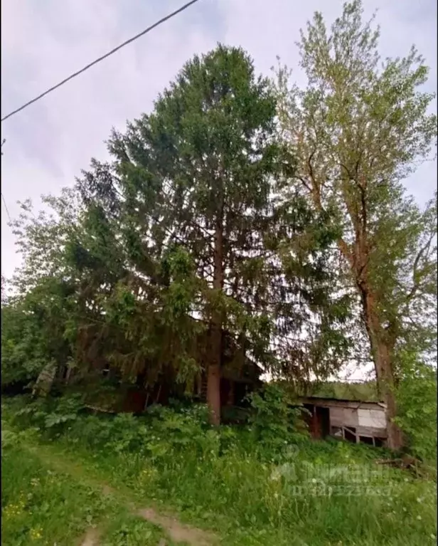 Участок в Московская область, Рузский муниципальный округ, д. Лидино  ... - Фото 1