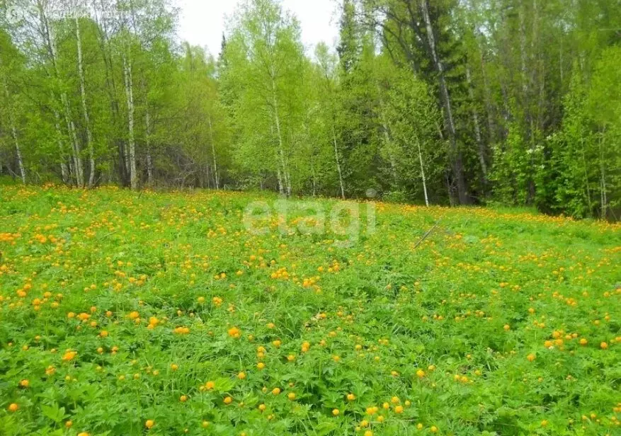 Участок в село Чоя, Социалистическая улица (4674.88 м) - Фото 0