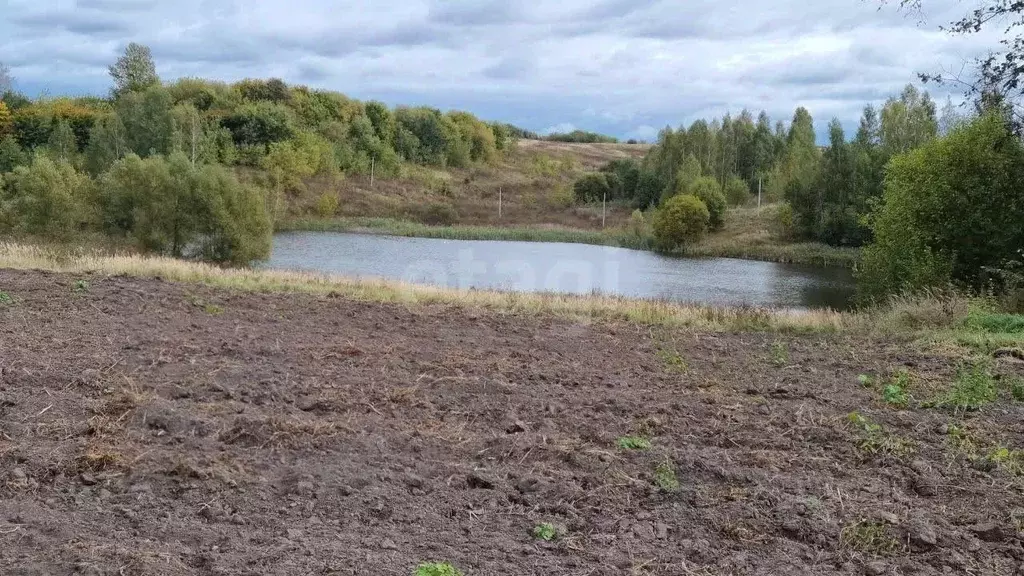 Участок в Брянская область, Жуковский муниципальный округ, д. Песочня ... - Фото 1