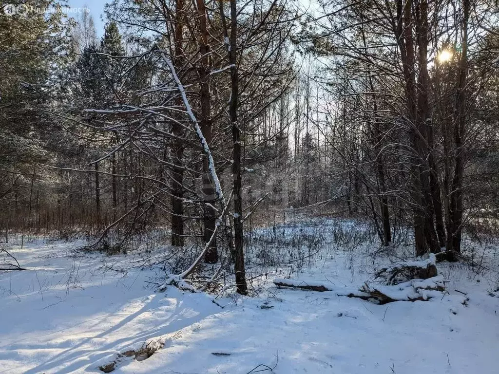 Участок в муниципальное образование Новосельское, село Любец (15 м) - Фото 1