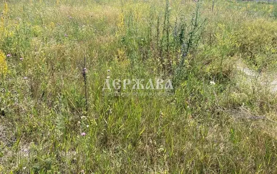 Участок в Белгородская область, Старооскольский городской округ, ... - Фото 1