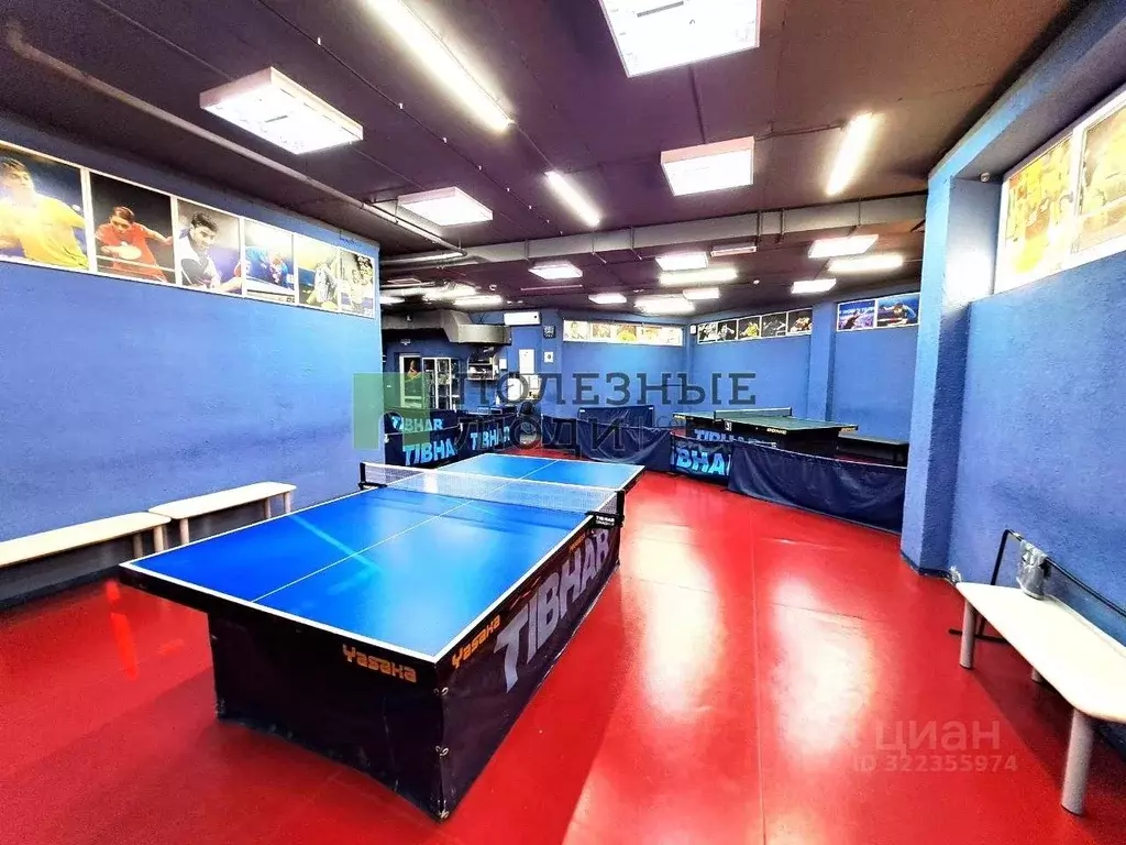 Помещение свободного назначения в Краснодарский край, Геленджик ... - Фото 1