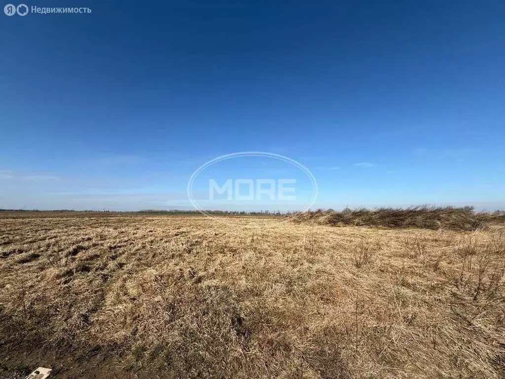 Участок в Калининградская область, Гурьевский муниципальный округ, ... - Фото 1