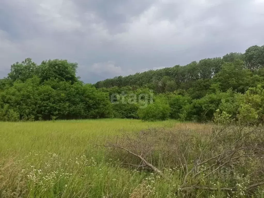 Участок в Белгородская область, Белгород Ремонтник дп,  (5.0 сот.) - Фото 0