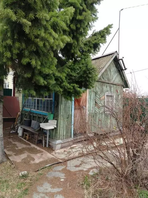 Дом в Курганская область, Курган Полиграфист СНТ,  (17 м) - Фото 2