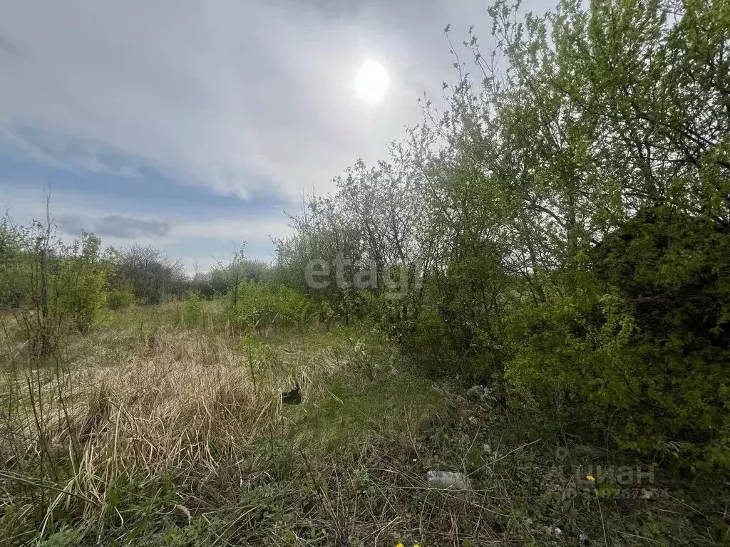 Участок в Белгородская область, Белгород Незабудка садовое ... - Фото 1