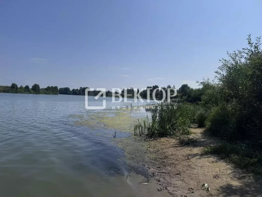 Участок в Ярославская область, Некрасовский муниципальный округ, д. ... - Фото 1