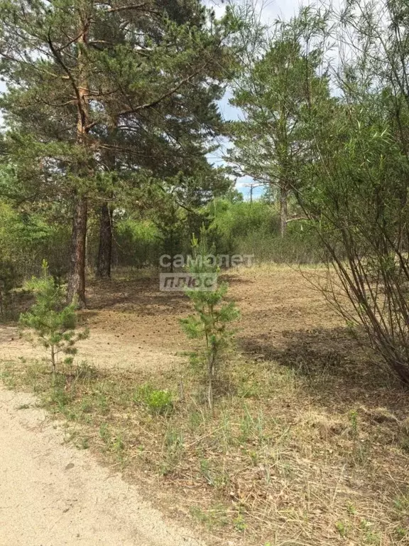 Участок в Забайкальский край, Чита пл. Ленина (7.0 сот.) - Фото 2