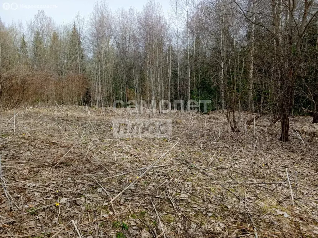 Участок в Шапкинское сельское поселение, садоводческое некоммерческое ... - Фото 1