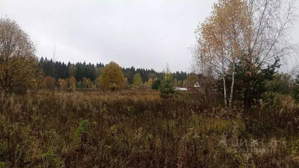 Участок в Московская область, Можайский муниципальный округ, д. ... - Фото 1
