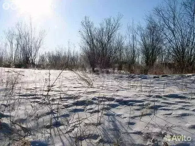 Участок в посёлок Точильный, Заречная улица (25 м) - Фото 2