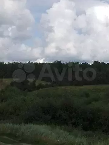 Участок 15,9 сот. (ИЖС) - Фото 0